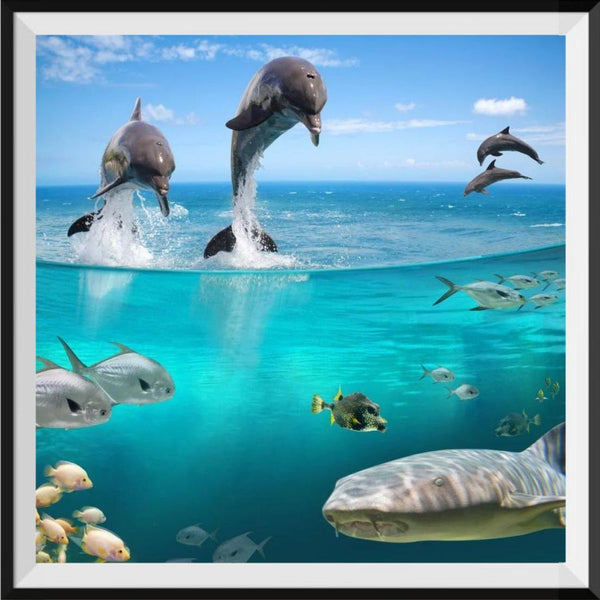 Dolphin 5d Diy Diamond Painting Kits UK Handwork Hobby DS11138284