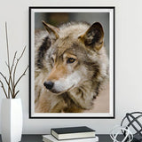 Wolf 5d Diy Diamond Painting Kits UK Handwork Hobby DS236765