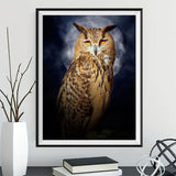 Owl 5d Diy Diamond Painting Kits UK Handwork Hobby DS24778480