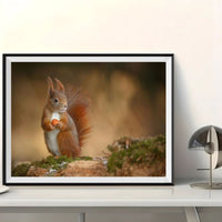 Squirrel 5d Diy Diamond Painting Kits UK Handwork Hobby DS30160863