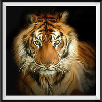 Tiger 5d Diy Diamond Painting Kits UK Handwork Hobby DS6825186