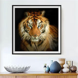 Tiger 5d Diy Diamond Painting Kits UK Handwork Hobby DS6825186