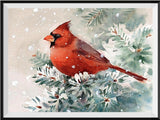 Bird 5d Diy Diamond Painting Kits UK Handwork Hobby DS80826614