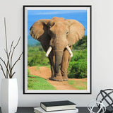 Elephant 5d Diy Diamond Painting Kits UK Handwork Hobby DS967391