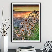 Flower 5d Diy Diamond Painting Kits UK Handwork Hobby VM9828