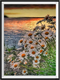 Flower 5d Diy Diamond Painting Kits UK Handwork Hobby VM9828
