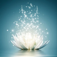 Lotus 5d Diy Diamond Painting Kits UK Handwork Hobby VM9727