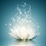 Lotus 5d Diy Diamond Painting Kits UK Handwork Hobby VM9727