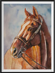 Horse 5d Diy Diamond Painting Kits UK Handwork Hobby IT145131598