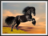 Horse 5d Diy Diamond Painting Kits UK Handwork Hobby IT177250665