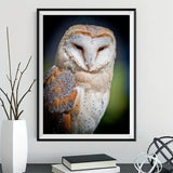 Owl 5d Diy Diamond Painting Kits UK Handwork Hobby IT498832277