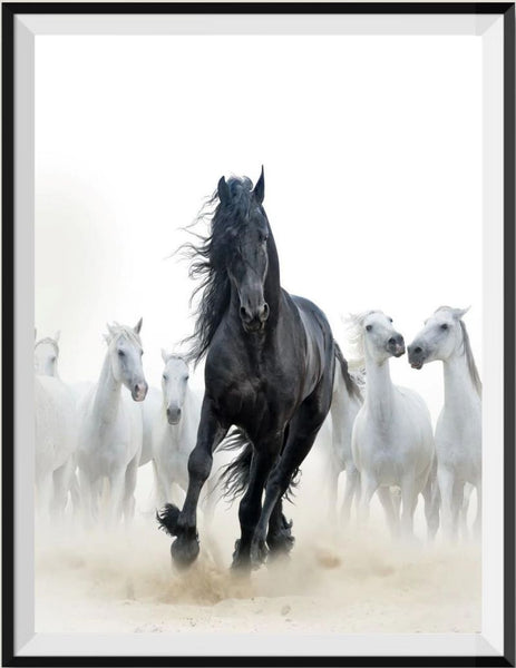 Horse 5d Diy Diamond Painting Kits UK Handwork Hobby IT500213448