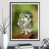 Owl 5d Diy Diamond Painting Kits UK Handwork Hobby IT536977212