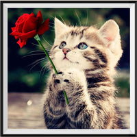 Cat 5d Diy Diamond Painting Kits UK Handwork Hobby VM7231