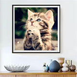 Cat 5d Diy Diamond Painting Kits UK Handwork Hobby VM7252