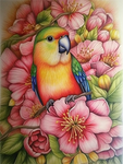 Parrot 5d Diy Diamond Painting Kits UK Handwork Hobby MJ2324