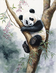 Panda 5d Diy Diamond Painting Kits UK Handwork Hobby MJ8081