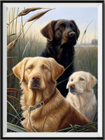 Dog 5d Diy Diamond Painting Kits UK Handwork Hobby MJ9150