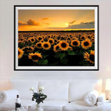 Sunflower 5d Diy Diamond Painting Kits UK Handwork Hobby NA0060