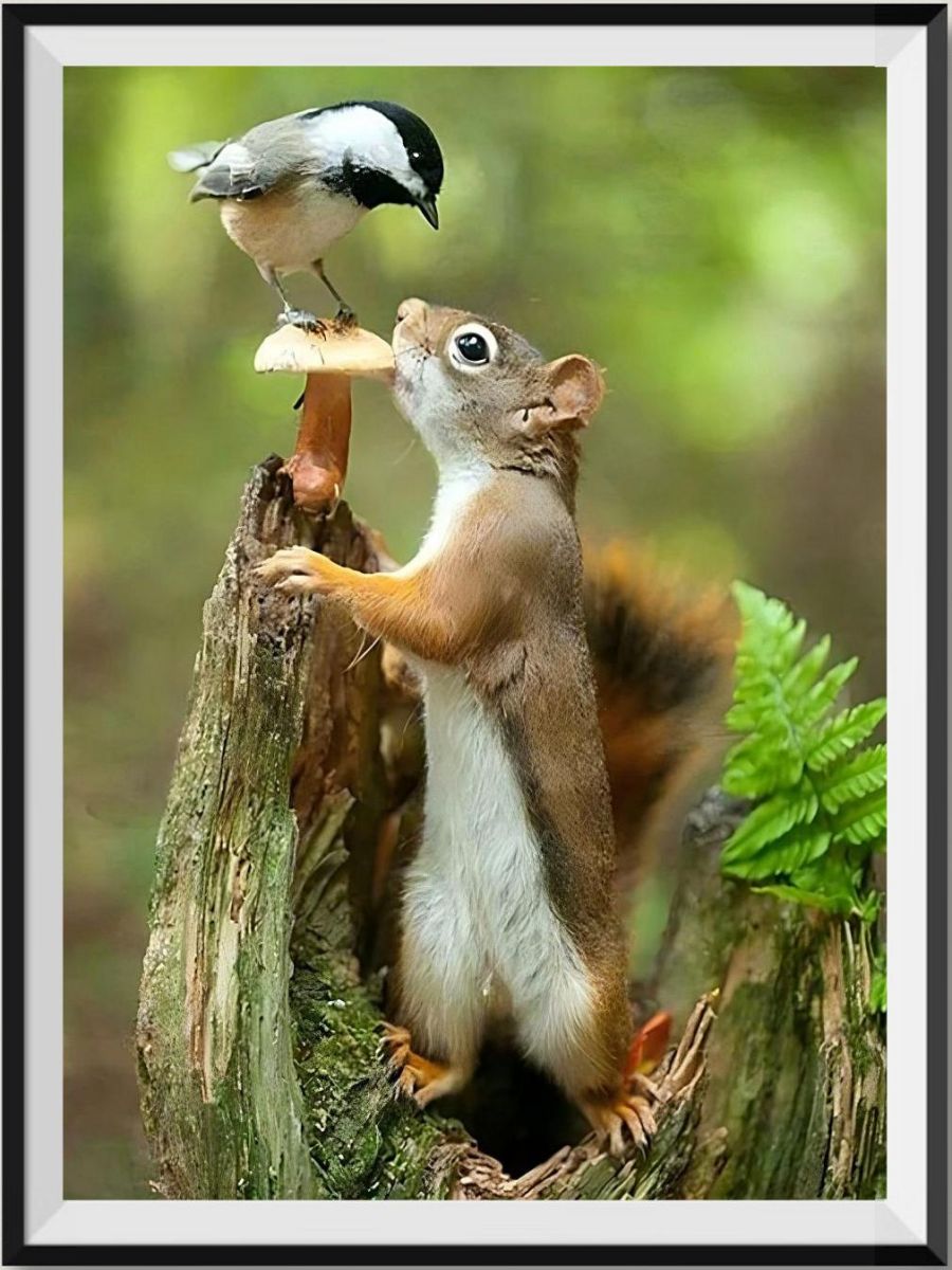 Squirrel 5d Diy Diamond Painting Kits UK Handwork Hobby VM90022 ...