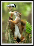 Squirrel 5d Diy Diamond Painting Kits UK Handwork Hobby VM90022