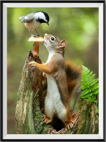 Squirrel 5d Diy Diamond Painting Kits UK Handwork Hobby VM90022