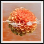 Flower 5d Diy Diamond Painting Kits UK Handwork Hobby PX174239