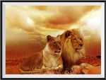 Lion 5d Diy Diamond Painting Kits UK Handwork Hobby PX577104