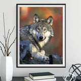 Wolf 5d Diy Diamond Painting Kits UK Handwork Hobby PX62898