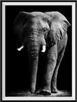 Elephant 5d Diy Diamond Painting Kits UK Handwork Hobby RF17875556