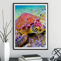Turtle 5d Diy Diamond Painting Kits UK Handwork Hobby NA0894