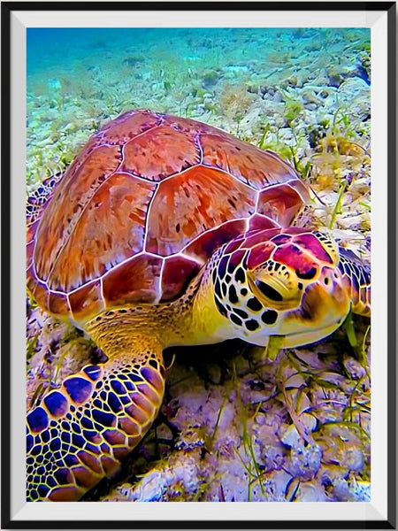 Turtle 5d Diy Diamond Painting Kits UK Handwork Hobby NA0894