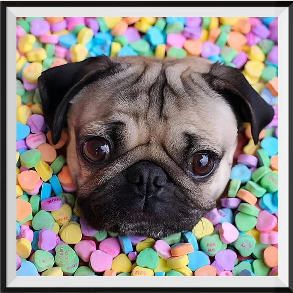 Dog 5d Diy Diamond Painting Kits UK Handwork Hobby NB0090