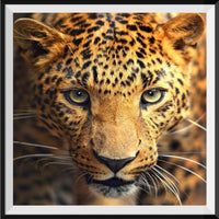 Leopard 5d Diy Diamond Painting Kits UK Handwork Hobby SS106640027