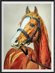 Horse 5d Diy Diamond Painting Kits UK Handwork Hobby SS1523524739