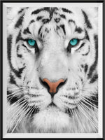 Tiger 5d Diy Diamond Painting Kits UK Handwork Hobby SS1742088326