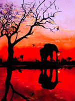 Elephant 5d Diy Diamond Painting Kits UK Handwork Hobby SS1861403728