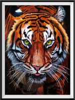 Tiger 5d Diy Diamond Painting Kits UK Handwork Hobby SS1902883918