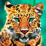 Leopard 5d Diy Diamond Painting Kits UK Handwork Hobby SS1949638927