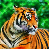 Tiger 5d Diy Diamond Painting Kits UK Handwork Hobby SS2005769393