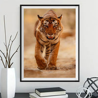 Tiger 5d Diy Diamond Painting Kits UK Handwork Hobby SS660844366