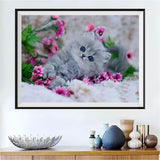 Cat 5d Diy Diamond Painting Kits UK Handwork Hobby VM0037