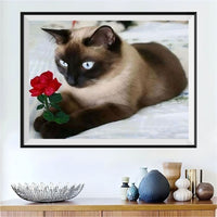 Cat 5d Diy Diamond Painting Kits UK Handwork Hobby VM1187