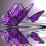 Butterfly 5d Diy Diamond Painting Kits UK Handwork Hobby VM1205