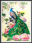 Peacock 5d Diy Diamond Painting Kits UK Handwork Hobby VM8164