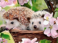 Hedgehog 5d Diy Diamond Painting Kits UK VM9071