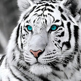 Tiger 5d Diy Diamond Painting Kits UK Handwork Hobby QB6431