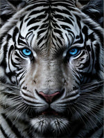 Tiger 5d Diy Diamond Painting Kits UK Handwork Hobby FL3547