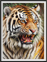 Tiger 5d Diy Diamond Painting Kits UK Handwork Hobby FL2276