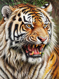 Tiger 5d Diy Diamond Painting Kits UK Handwork Hobby FL2276